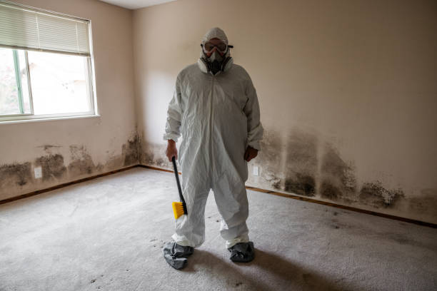 Best Emergency Mold Removal  in Kerrville, TX
